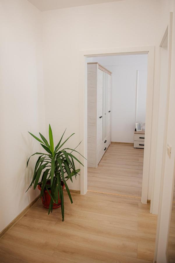Modern Apartment In Timisoara Esterno foto